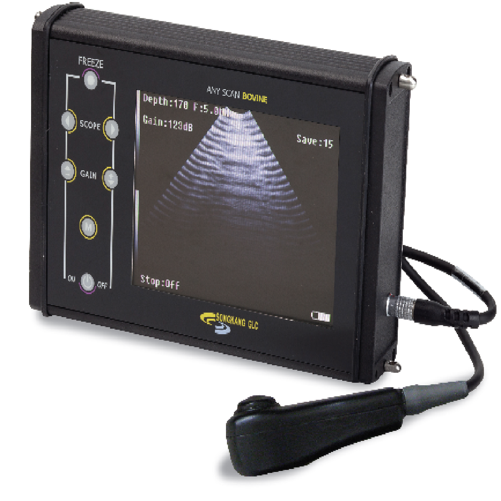 Ultra sound scanner for pig's pregnancy