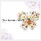 full image Butterfly Brooch 1