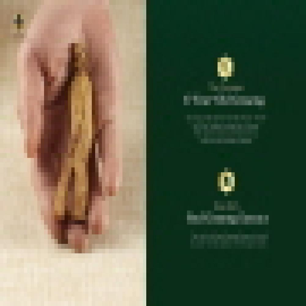 Korean Red Ginseng Extract, SHANGPREE The Masterpiece