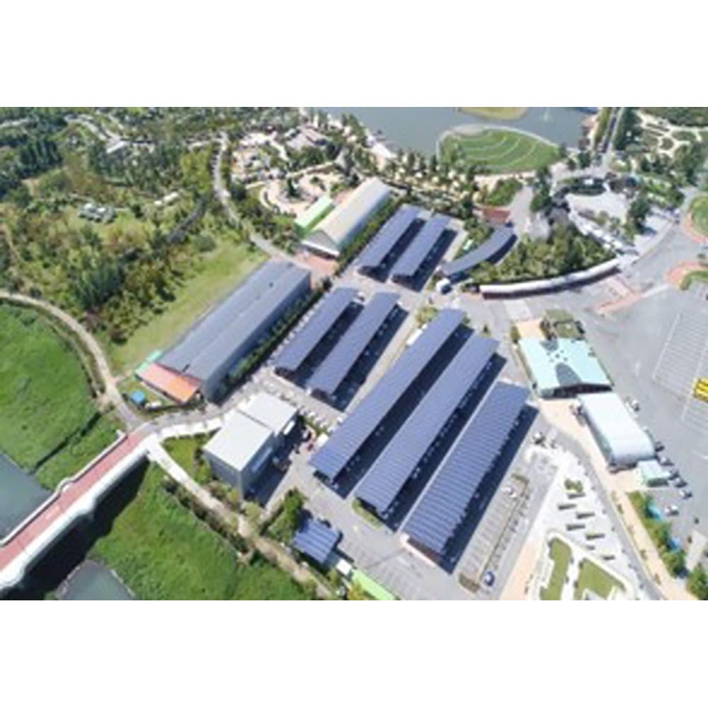 Community microgrid system