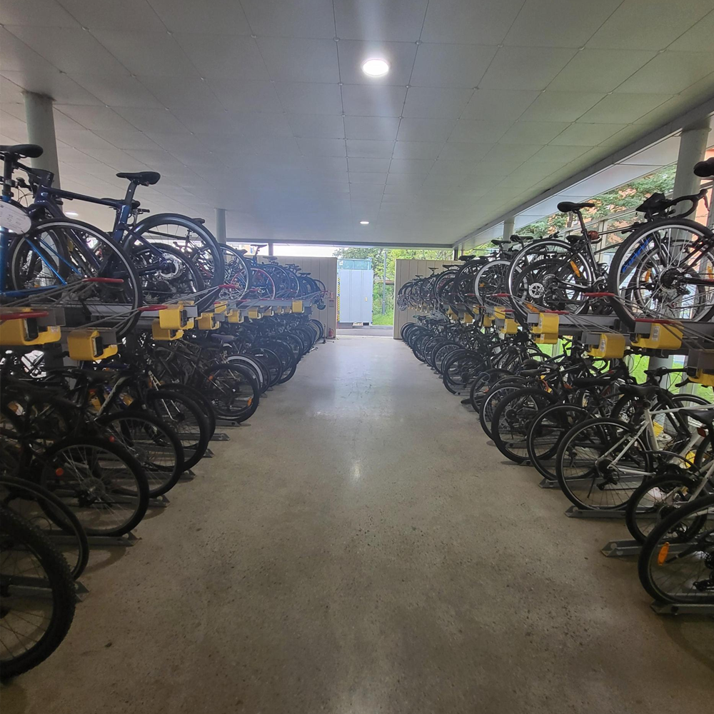 Bicycle theft (loss) protection device